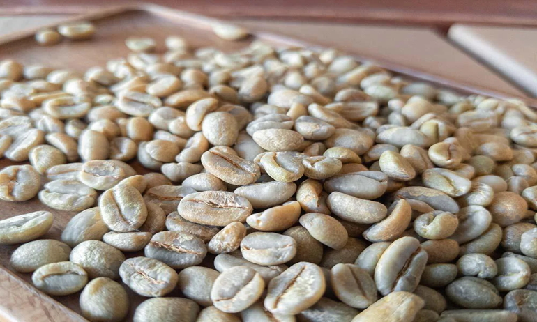 GUJI Coffee