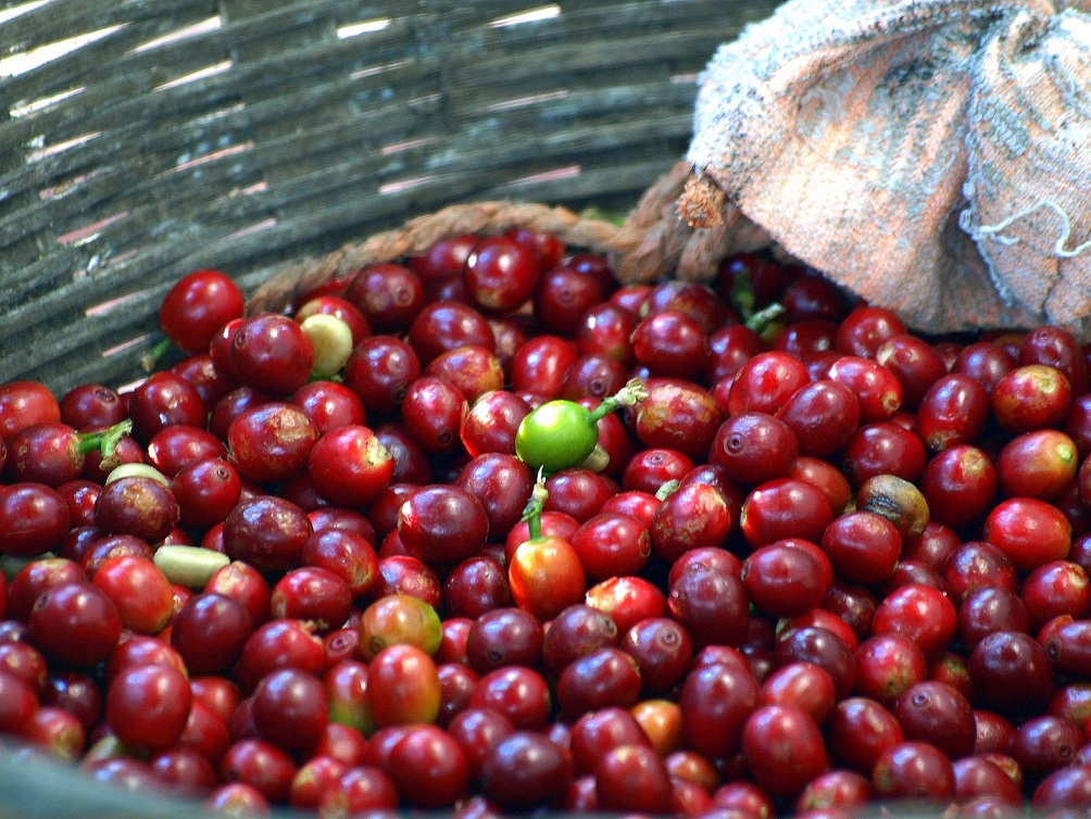 LIMMU Coffee