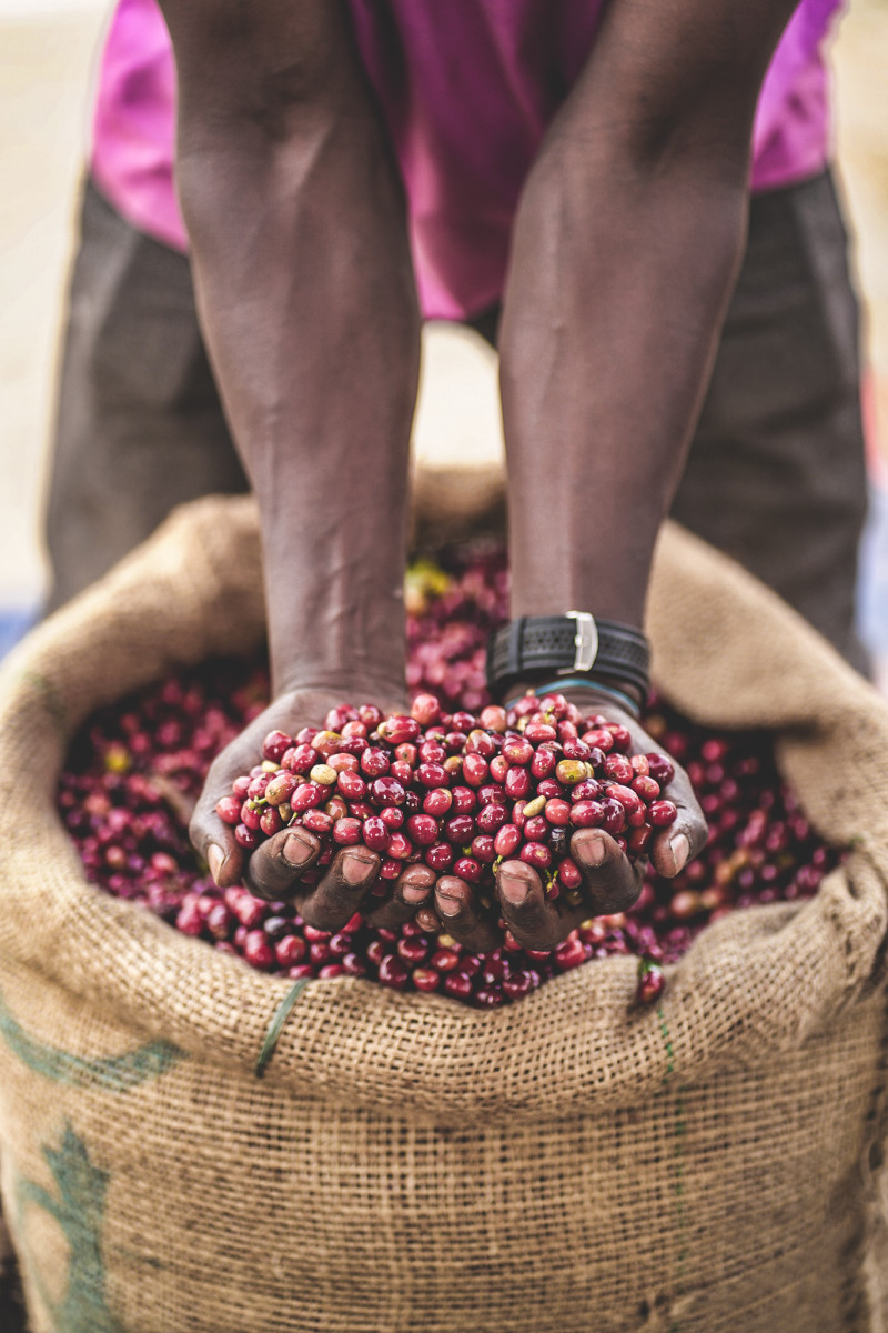 YIRGACHEFFE Coffee